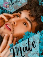 The Forbidden Mate