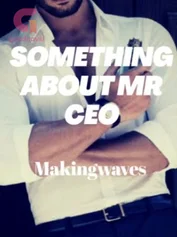 SOMETHING ABOUT MR CEO