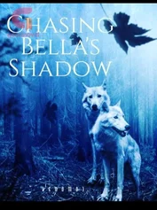 Chasing Bella's shadow