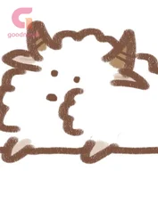 测试link书籍 英语2