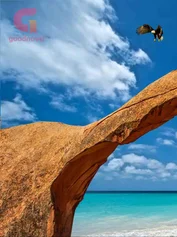 完结奖10万以下