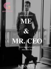 Me & Mr. CEO